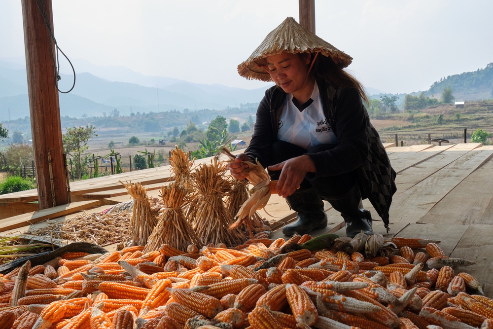 laos