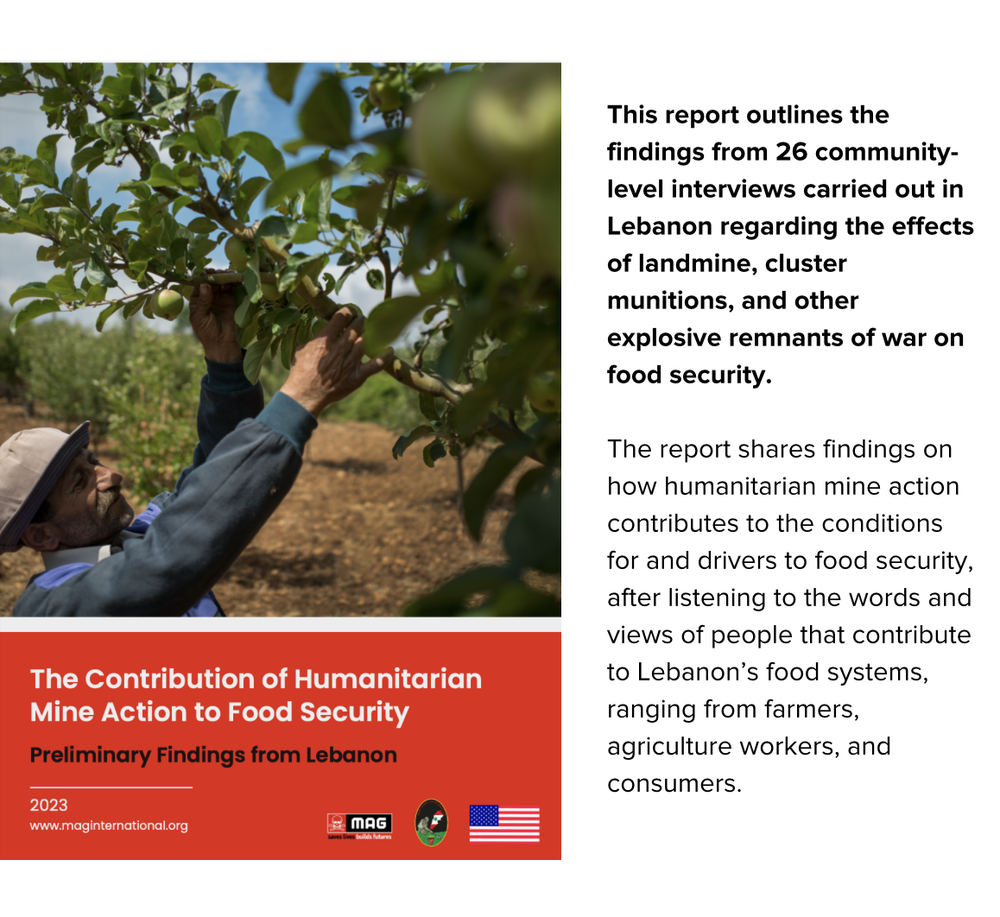 info food security report